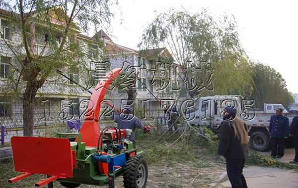 遼寧社區園林綠化樹枝粉碎機